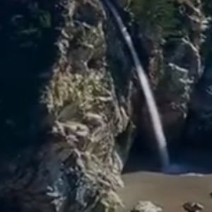 Meet your Posher, Bailey